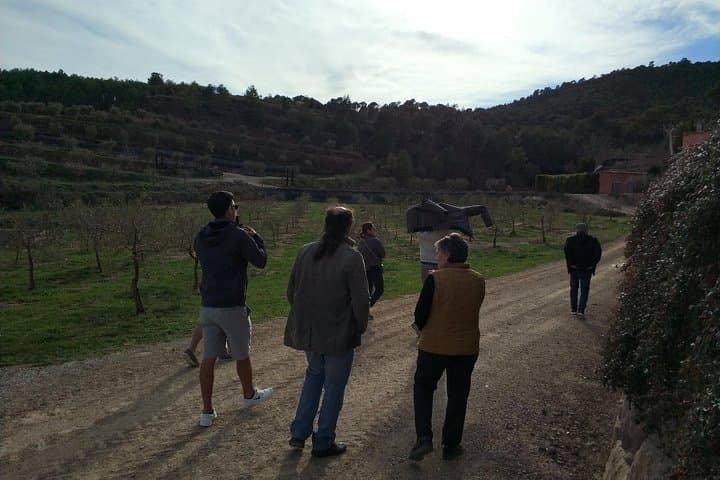 Vall d’Hortons Olive Oil Tasting — Private Tour from Barcelona photo 6