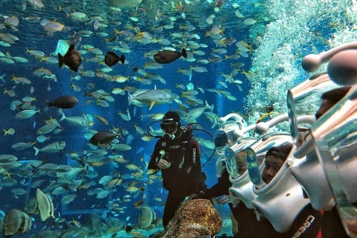 Bali Ocean Walker: Helmet Walk at Tanjung Benoa Beach photo 2