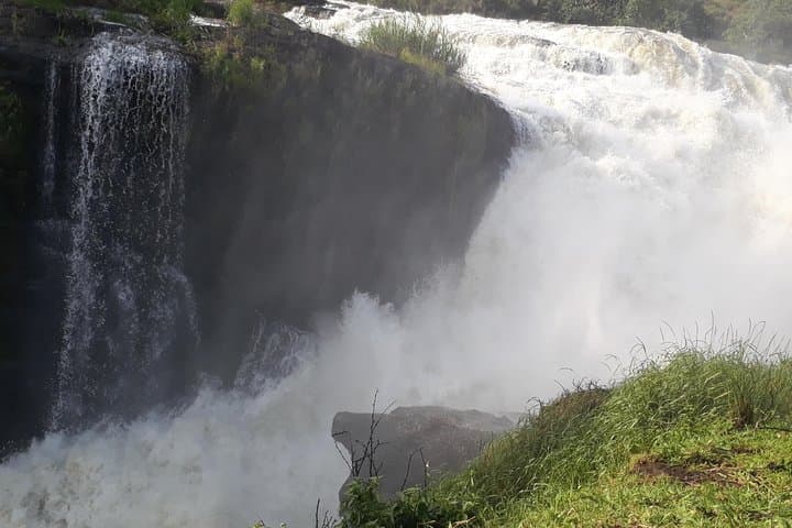 6-Day Uganda Safari: Gorillas, Chimps & Murchison Falls Big Five Experience photo 2