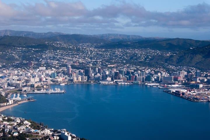 Wellington Shore Excursion: Mt Victoria, Cable Car & Botanic Garden Highlights