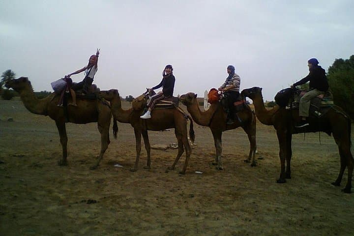 Zagora Desert Night Excursion from Marrakech — Overnight Berber Camp & Draa Valley Trek photo 2