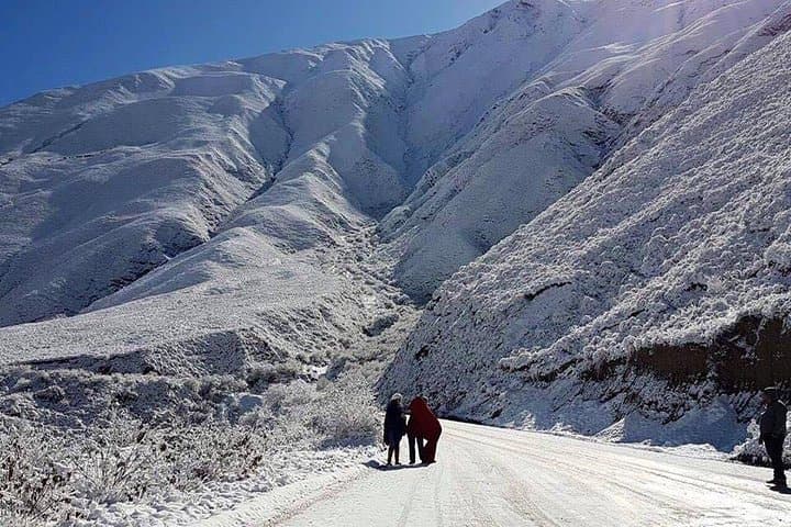 One-Day Cachi & Calchaquí Valleys Tour from Salta — Cuesta Views, High-Altitude Flora and Colonial Towns photo 6