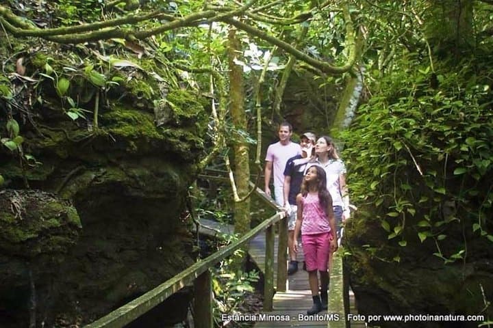 Estancia Mimosa Waterfall Trail — Full-Day Ecotour from Bonito photo 5
