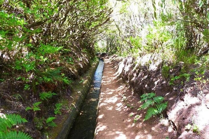 Levada Walk to Lagoa do Vento — Rabaçal Lagoon Hike & Viewpoints photo 4