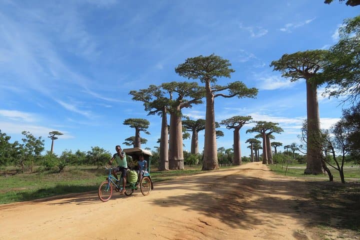 Sunset at Avenue of the Baobabs: Day Tour from Morondava to Kirindy Reserve