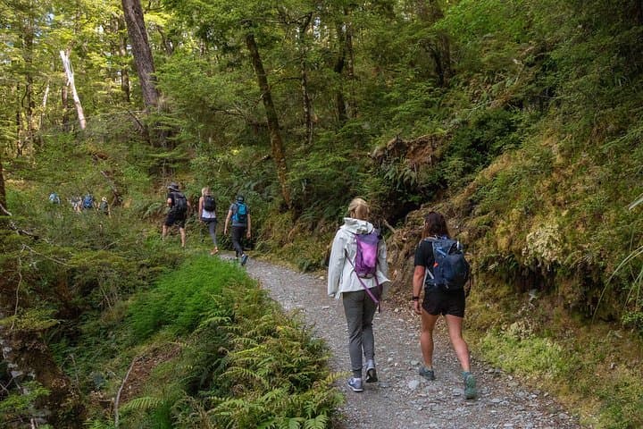 Routeburn Track Half-Day Guided Walk from Queenstown — Scenic Short Hike photo 2
