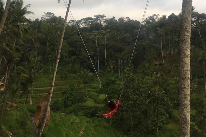 Experience Bali's Adventure: ATV Tours and Jungle Swing photo 4