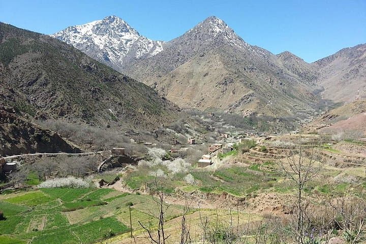 Ourika Valley & Setti Fatma Waterfalls: Full-Day Atlas Mountains Tour from Marrakech photo 2
