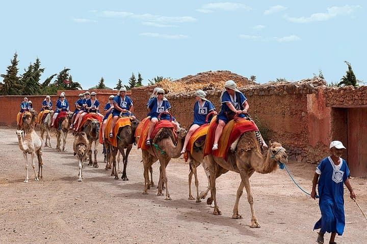 Sunset Camel Ride in Marrakech's Palmeraie: Dromedary Tour & Mint Tea
