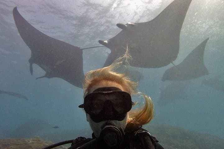 Try Dive with Manta Rays at Manta Point, Nusa Penida — Non-Certified Dives from Sanur