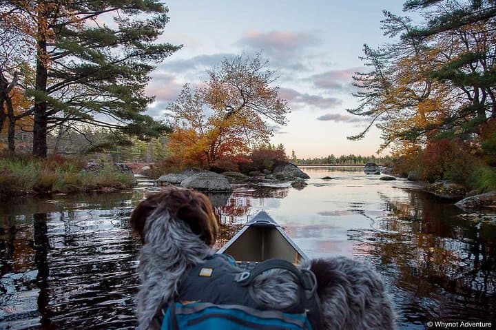 Tobeatic Canoe Trip — 5-Day Kejimkujik Wilderness Canoe & Portage Expedition photo 5