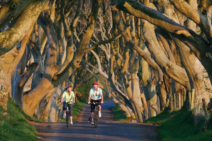 Giant's Causeway, Dunluce Castle and Dark Hedges Day Tour from Belfast photo 4