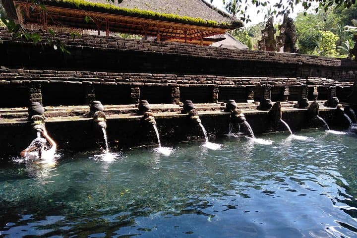 Discover Tranquility with Bali's Sacred Purification Ritual photo 4
