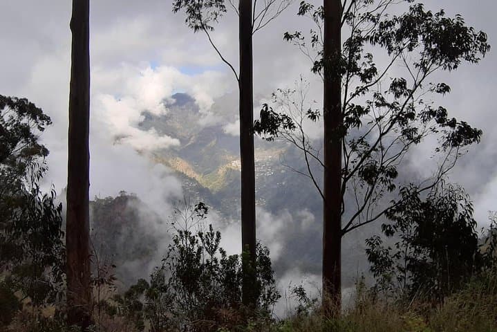 Private Jardim da Serra Half-Day Tour from Funchal — Boca dos Namorados & Nun's Valley Views
