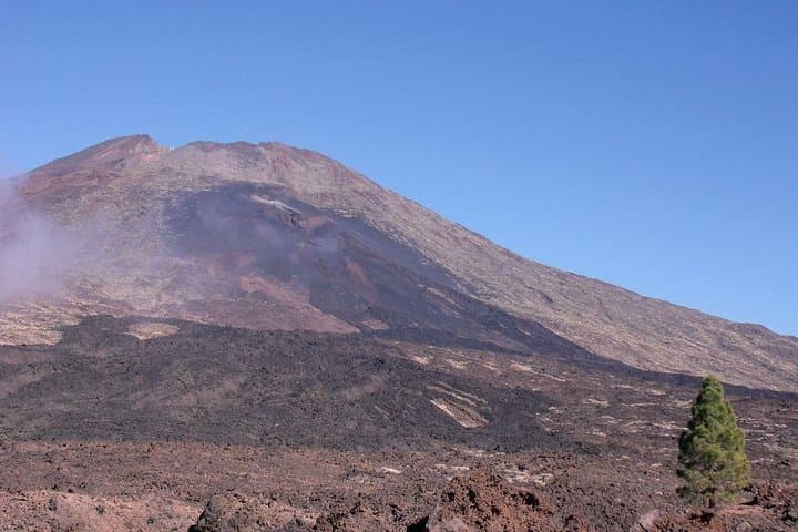 Teide Essential VIP Shore Excursion — La Laguna to Teide National Park photo 2