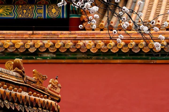 Beijing Layover Essentials: Private City Tour and Hot-Spring Recharge