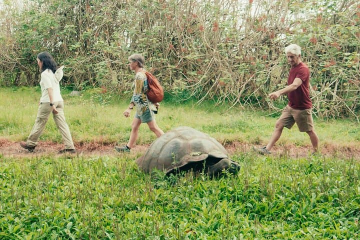 Best of Galapagos: 7-Day Island-Hopping Snorkel & Sierra Negra Hike photo 2