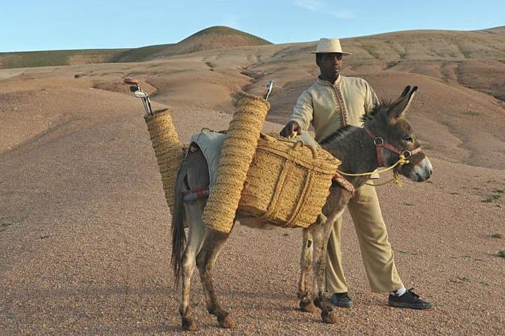 Marrakech Day Trip: Atlas Mountains, Imlil Valley & Agafay Desert Camel Ride photo 4