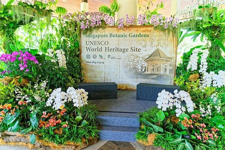 Singapore National Orchid Garden: Tickets, Tips & What to Expect photo 5
