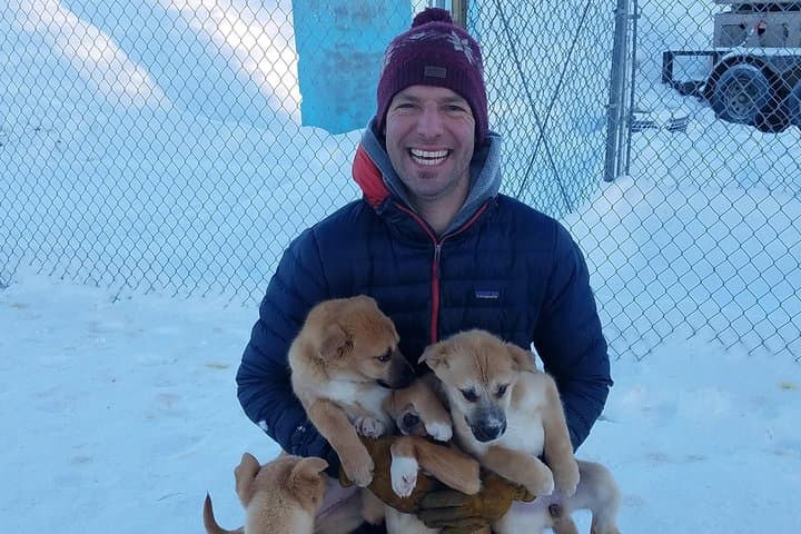 1-Hour Winter Dog Sledding in Fairbanks: Authentic Alaskan Mushing Experience photo 4
