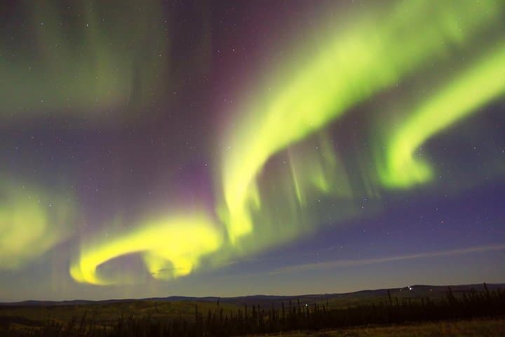 Fairbanks Northern Lights & Dog Sledding Tour with Cabin Dinner photo 6