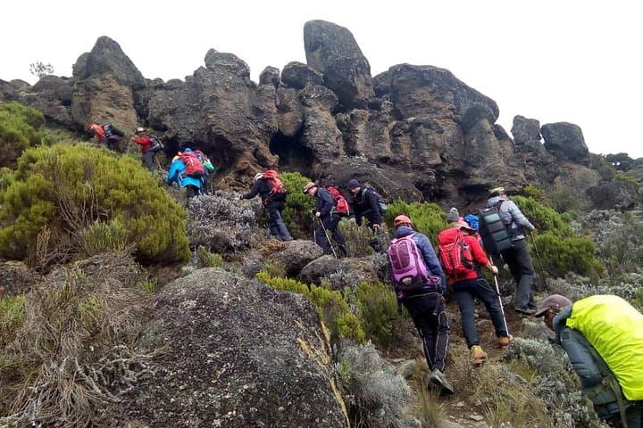 Mt Kenya via Narumoru: 5-Day Trek to Point Lenana photo 4