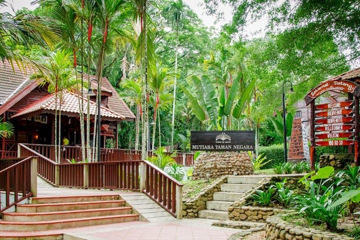 Taman Negara Day Tour: Canopy Walk, Teresek Hill Trek & River Lunch from Kuala Lumpur photo 3