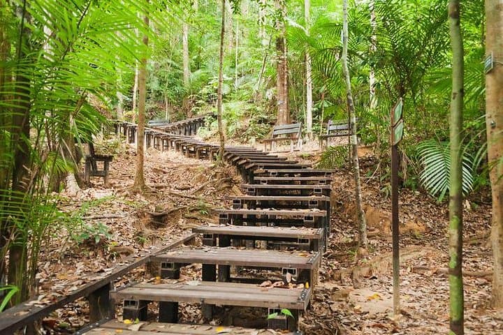 Taman Negara Day Tour: Canopy Walk, Teresek Hill Trek & River Lunch from Kuala Lumpur photo 4
