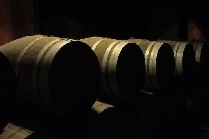 Lisbon to Setúbal Wine Tour: Palmela Castle, Arrábida & Traditional Wineries photo 6