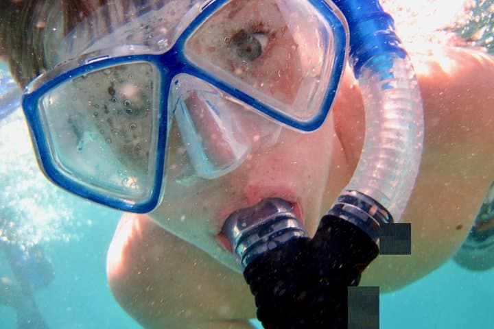 Private Looe Key Snorkel from Big Pine Key — Guided Snorkel on the Great Florida Reef photo 2