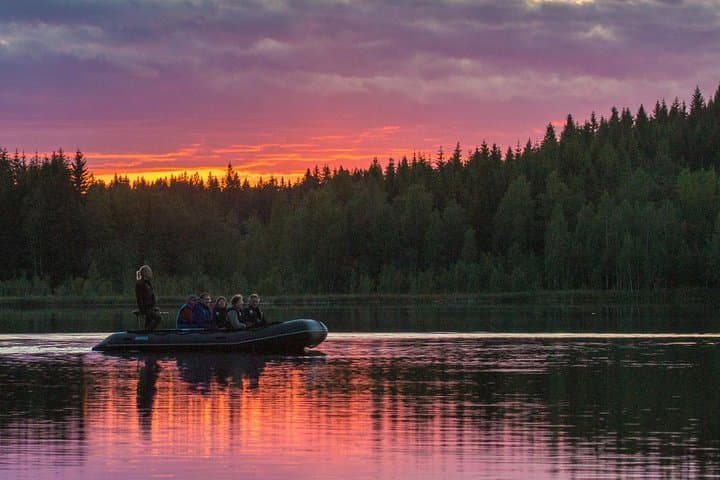 central-sweden-wildlife-tour-wolves-moose-beavers photo 6
