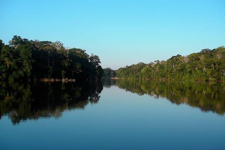 3-Day Posada Amazonas Classic Program: Tambopata Lodge, Canopy Tower & Wildlife photo 5