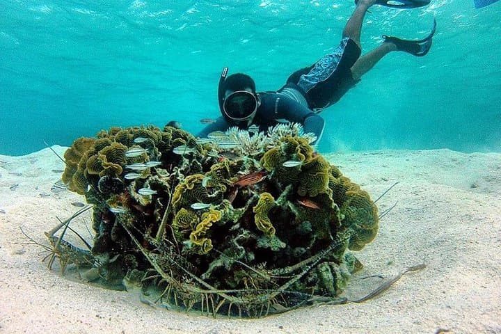 Roatan All-in-One Adventure: Zipline, Snorkel & Beach Shore Excursion photo 2