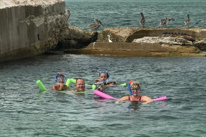 Shell Key Dolphin Cruise & Snorkel from Tierra Verde — 2-Hour Small-Group Experience photo 2