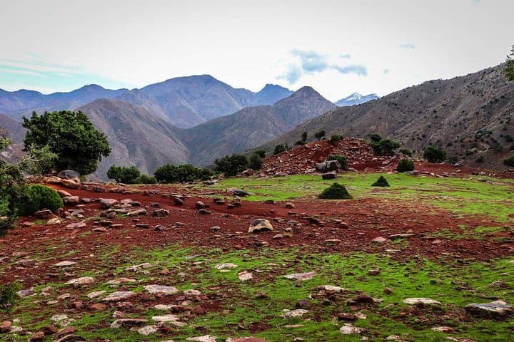 Two-Day Toubkal Ascent: Summit Mount Toubkal (4167 m) from Marrakech photo 4