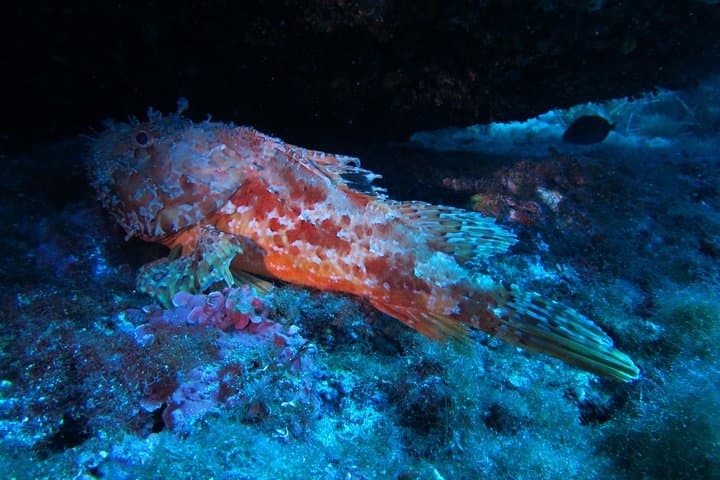 Etna & Diving Jeep Tour from Catania — Jeep Hike, Wine Tasting and Coastal Dive photo 1