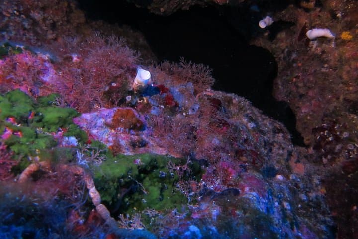 Etna & Diving Jeep Tour from Catania — Jeep Hike, Wine Tasting and Coastal Dive photo 3