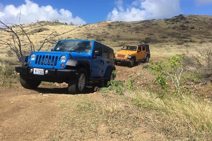 Sint Maarten Jeep Island Highlights Tour with Beach Time — Philipsburg 4x4 Excursion photo 3