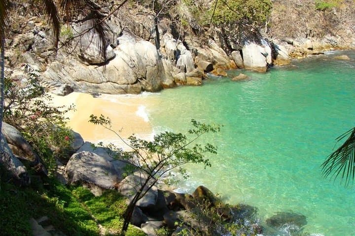 Private Los Arcos Snorkel & Beach Tour from Puerto Vallarta — Snork Los Arcos and Las Animas photo 4