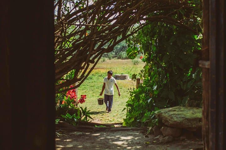 Mayan Backroads: Bike, Cenotes & Monkeys — Day Trip from Tulum photo 5