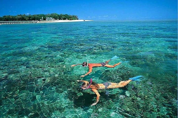 Cu Lao Cham Island Snorkeling Tour from Da Nang & Hoi An photo 3