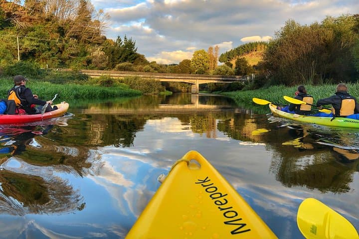 Twilight Glowworm Kayak Tour on Lake Karapiro: Paddle Through a Living Nightlight photo 3