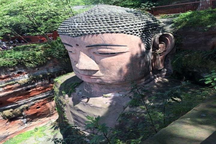 Chengdu Panda Base & Leshan Giant Buddha Day Tour — Pandas, River Views & Cliffside History