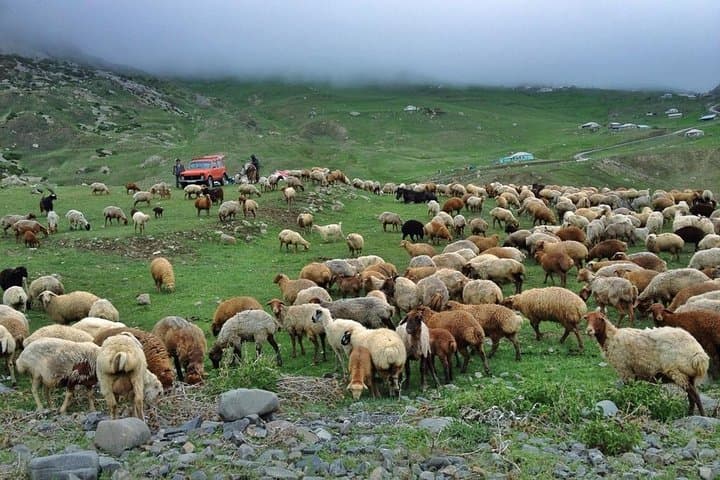 Khinalug Day Trip: Visit Azerbaijan’s High Mountain Village from Quba photo 5