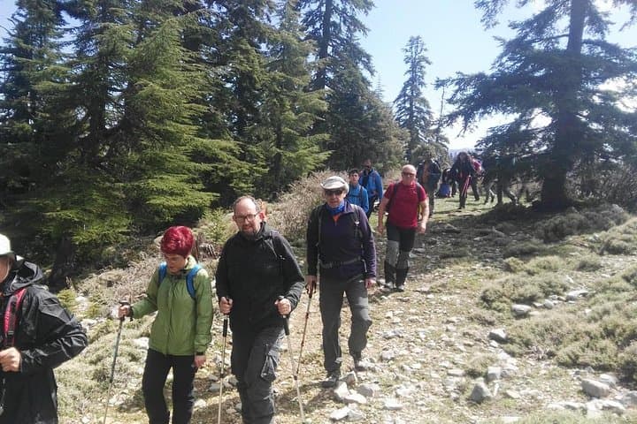 Full-Day Jbel Lakraa Summit Hike in Talassemtane National Park photo 5