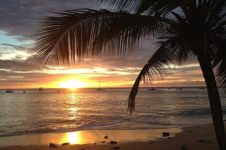 Sunset Horseback Riding on Macao Beach, Punta Cana — Private 2-Hour Experience photo 2