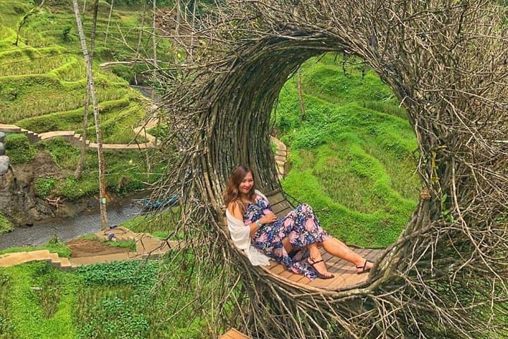 Tegalalang Rice Terrace Swing: Ubud's River-Pool Swings & Bird Nests photo 3