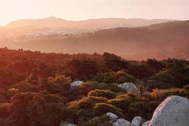 Evening Forest Walk in the Sintra Mountains — 'Inbetween Wolves' Night Hike with a Historian