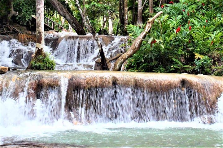 Dunn's River Falls and the Luminous Lagoon: Guided Tour from Falmouth photo 4