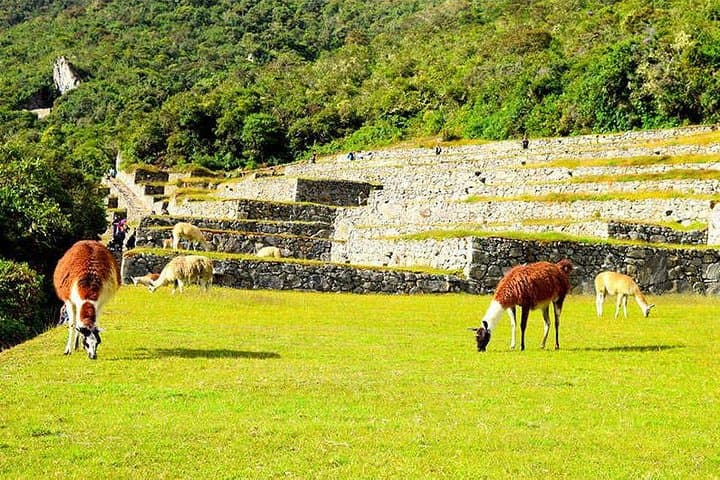 4-Day Classic Inca Trail to Machu Picchu — Complete Trek Guide photo 2